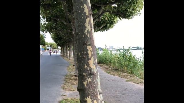 ASMR- Шепотом для подсознания: Искусство Говорить 'Нет' и Путь к Важному и Нужному смотреть онлайн