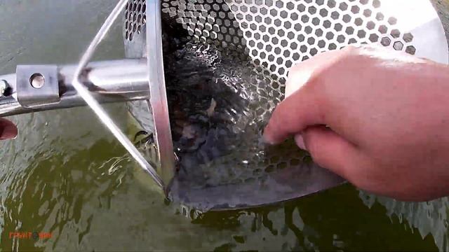 #357 Поиск на старом пляже с Nokta Legend смотреть онлайн