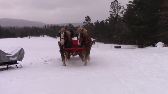 Horse Drawn Sleigh Ride! | Crazy8Family смотреть онлайн