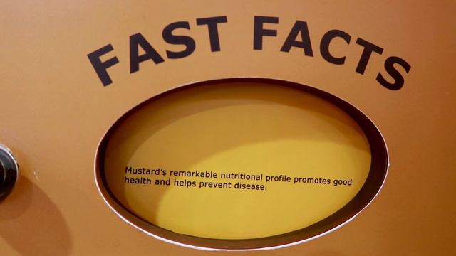 The National Mustard Museum | Weird things to do in Wisconsin смотреть онлайн