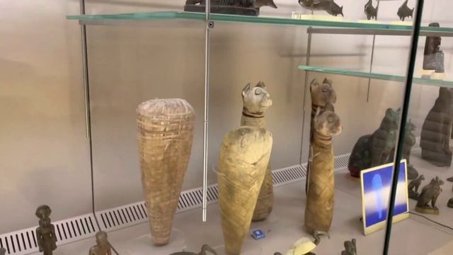 Болонья сегодня за 1 день: средневековые небоскребы, палаццо рэ энцо, болонья достопримечательности