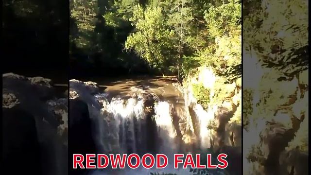 REDWOOD FALLS смотреть онлайн