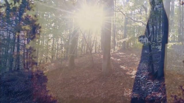 Sveta Petka zaštitnica 3 смотреть онлайн