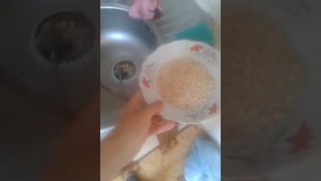 Casa Ovseanca смотреть онлайн