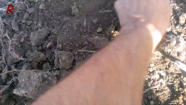 Карта сокровищ (в поисках монет) кладоискатель смотреть онлайн