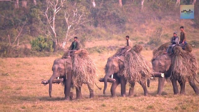 Nepal 4K - Exploring the Natural Beauty and Rich Culture of Nepal смотреть онлайн