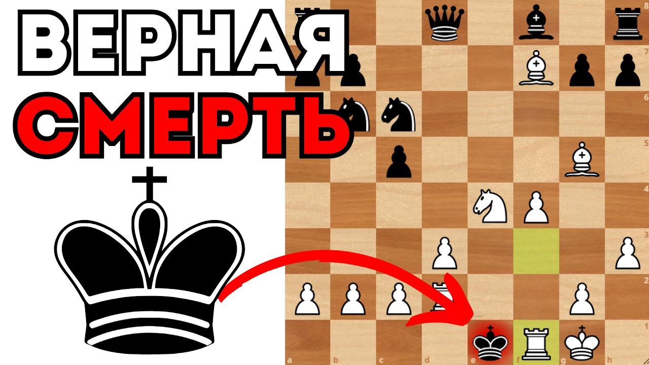 Черный король отправился на верную погибель. Шахматы смотреть онлайн