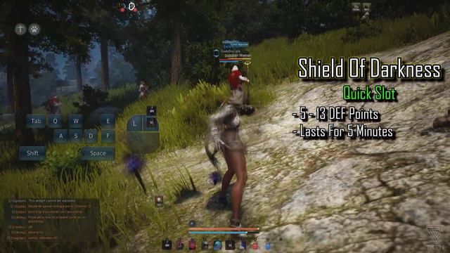 Black Desert Online: Sorceress Build // Sorceress Skills, Rotation And Guide!