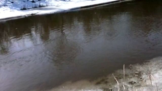 Ловим пауком. смотреть онлайн