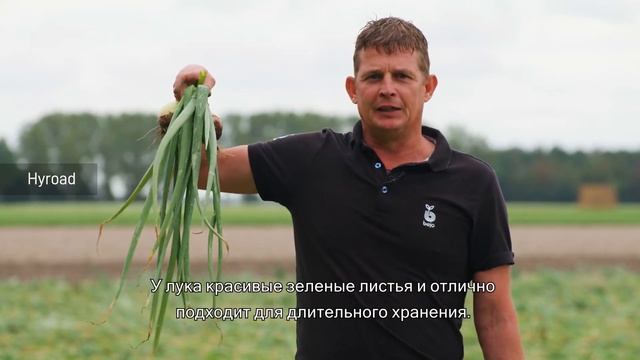 БЕЙО | Новинки ассортимента репчатого лука 2020 смотреть онлайн