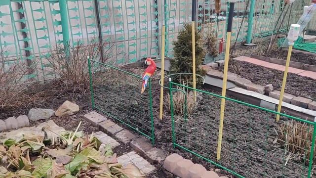 Ура!!!! Весна, пришла! Время, засучивать рукава!!! смотреть онлайн