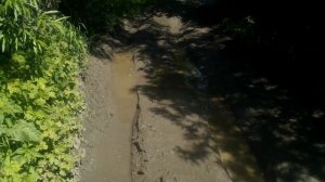 пос. Конюхи ( первый выезд на р. Обь ) Июнь-2020.