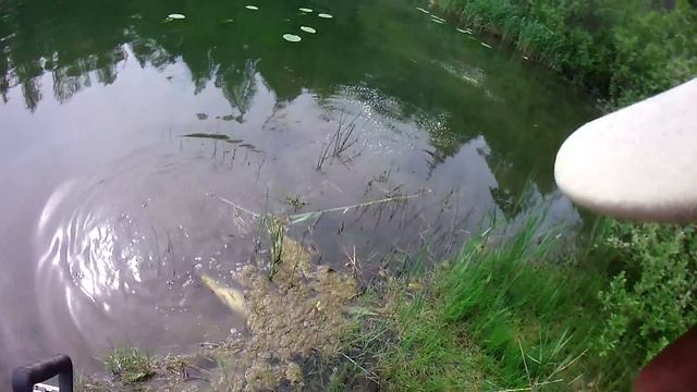 Зеркальный карп .1 часть. смотреть онлайн