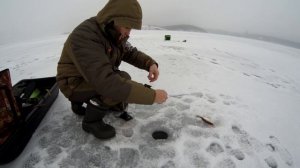 Зимняя рыбалка в Воронеже 2021. Поиск рыбы зимой на водохранилище!!!