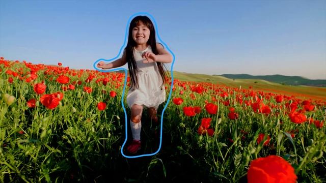 Adobe Photoshop & Premiere Elements 2021 смотреть онлайн