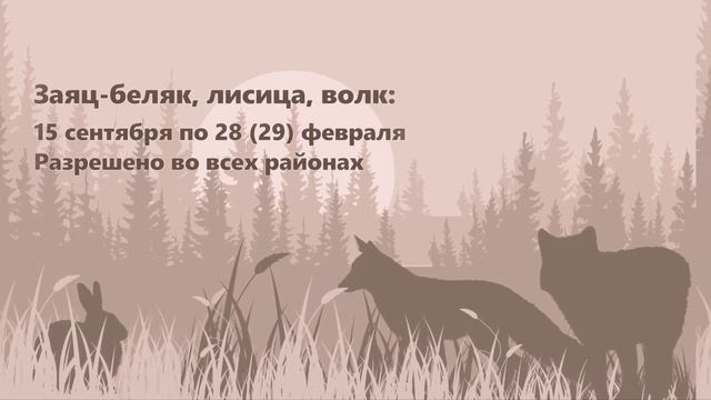 СМОТРИ сроки охоты в Якутии | сезон Осень-Зима смотреть онлайн