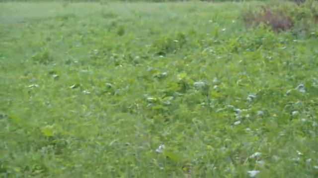 Летняя Рыбалка р Илим Восточная Сибирь Иркутская обл 23 24 июня 2015г смотреть онлайн