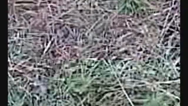 Motocross Верхняя Салда 4.wmv