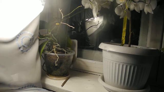 Глаза твои... смотреть онлайн