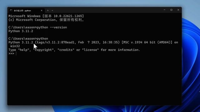 Python 安装与代码运行 Python Installation and Code Execution смотреть онлайн