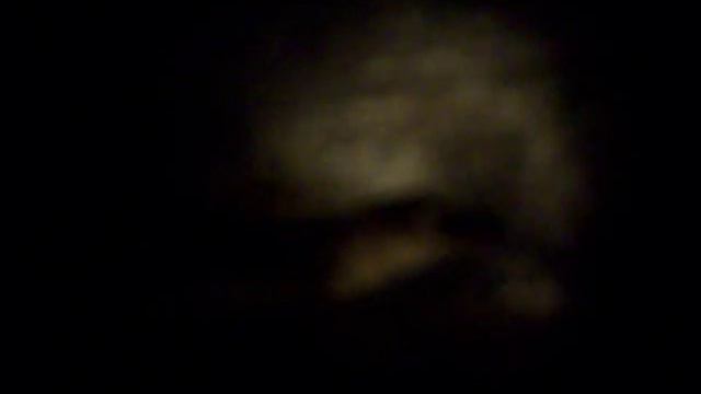 OMG GATORZ! смотреть онлайн