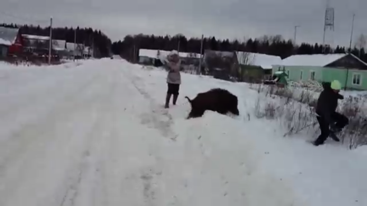 Васька смотреть онлайн