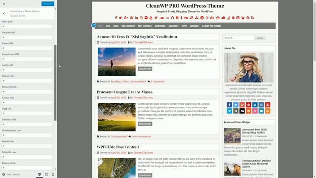 Customizer Theme Options - CleanWP PRO WordPress Theme смотреть онлайн