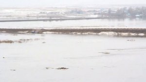 Гагино р Пьяна Половодье