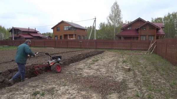 Плуг ПЦ-1-18 и мотоблок Угра. Купил за недорого, пробую пахать.