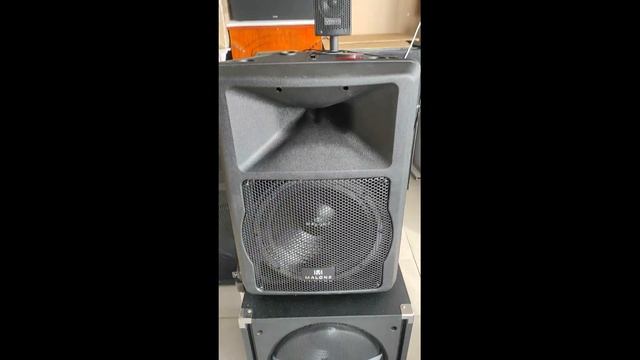 Активная акустика Malone PW-EV-12A DJ (550 Вт RMS) смотреть онлайн