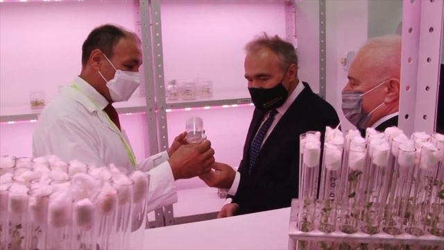 KazNARU presentation смотреть онлайн