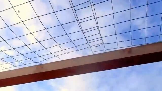 Узбекские голуби! Это не только красота на земле но и в небе! Uzbek pigeons flying!Russia,Astrachan смотреть онлайн