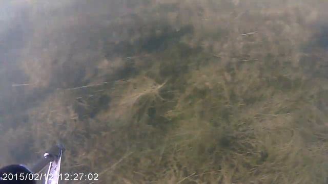 Подводная охота | Февраль | Сазан | Часть 2 смотреть онлайн