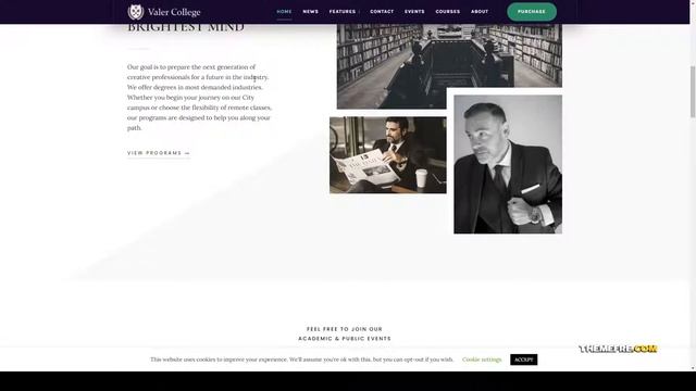 Valer - School and College WordPress Theme university online course Kizuki смотреть онлайн