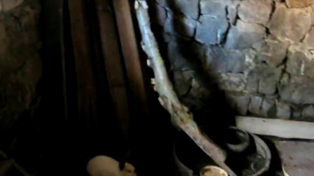 разведение кроликов в яме, плюсы и минусы. смотреть онлайн