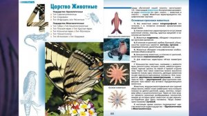 «Царство Животные», Биология 7 класс, Сивоглазов.mp4