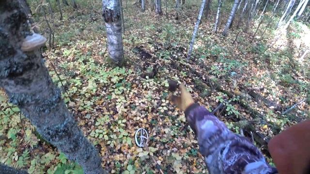 Металлокоп в тайге у болота. Коп металлалома на Вездеходе. смотреть онлайн