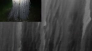 Infiray T3 Pro thermal showing detail