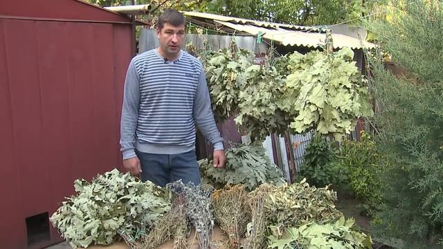 Веники для Баньки оптом смотреть онлайн