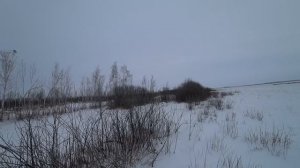 Охота на косулю загоном!!! Взяли две штуки!!! Омская область !!!