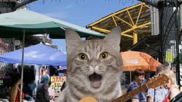 Серый Кот - Песня про котят (Кокос и Серёга) [кавер на @HolyBaam]