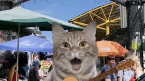 Серый Кот - Песня про котят (Кокос и Серёга) [кавер на @HolyBaam]