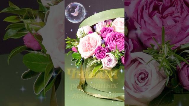 С юбилеем 55 смотреть онлайн