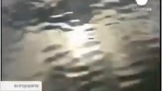 Виды-вселенцы захватывают Европу // Invasive species captured Europe смотреть онлайн