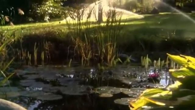 GARDENA труба ПНД и системы садового водопровода смотреть онлайн