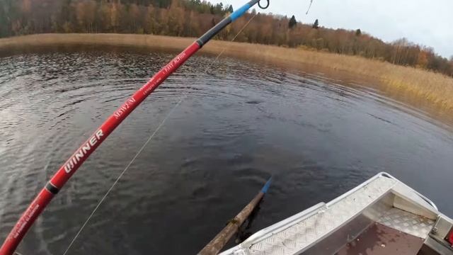 Трофей на воблер TsuYoki Draga 130