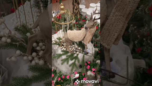 Оби Боровское шоссе 14.11.2021 смотреть онлайн