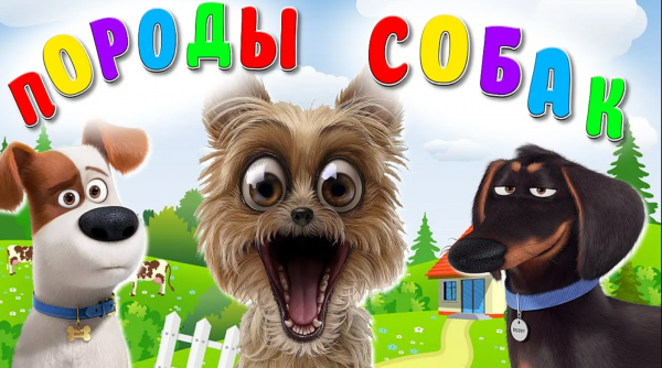 ПОРОДЫ СОБАК + ВИДЕО ПРО СОБАК + КАРТОЧКИ ДОМАНА + ОБУЧАЮЩЕЕ И РАЗВИВАЮЩЕЕ ВИДЕО ДЕТЯМ
