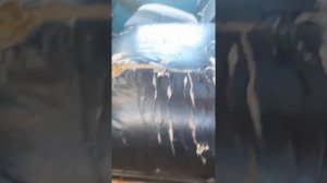 Двигатель  4216   сотка карбюратор