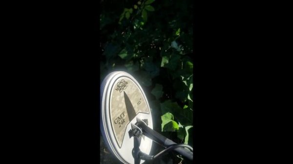 The Garrett Goldmaster 24K is an outstanding gold detector for less money